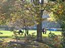 Park Scene.jpg